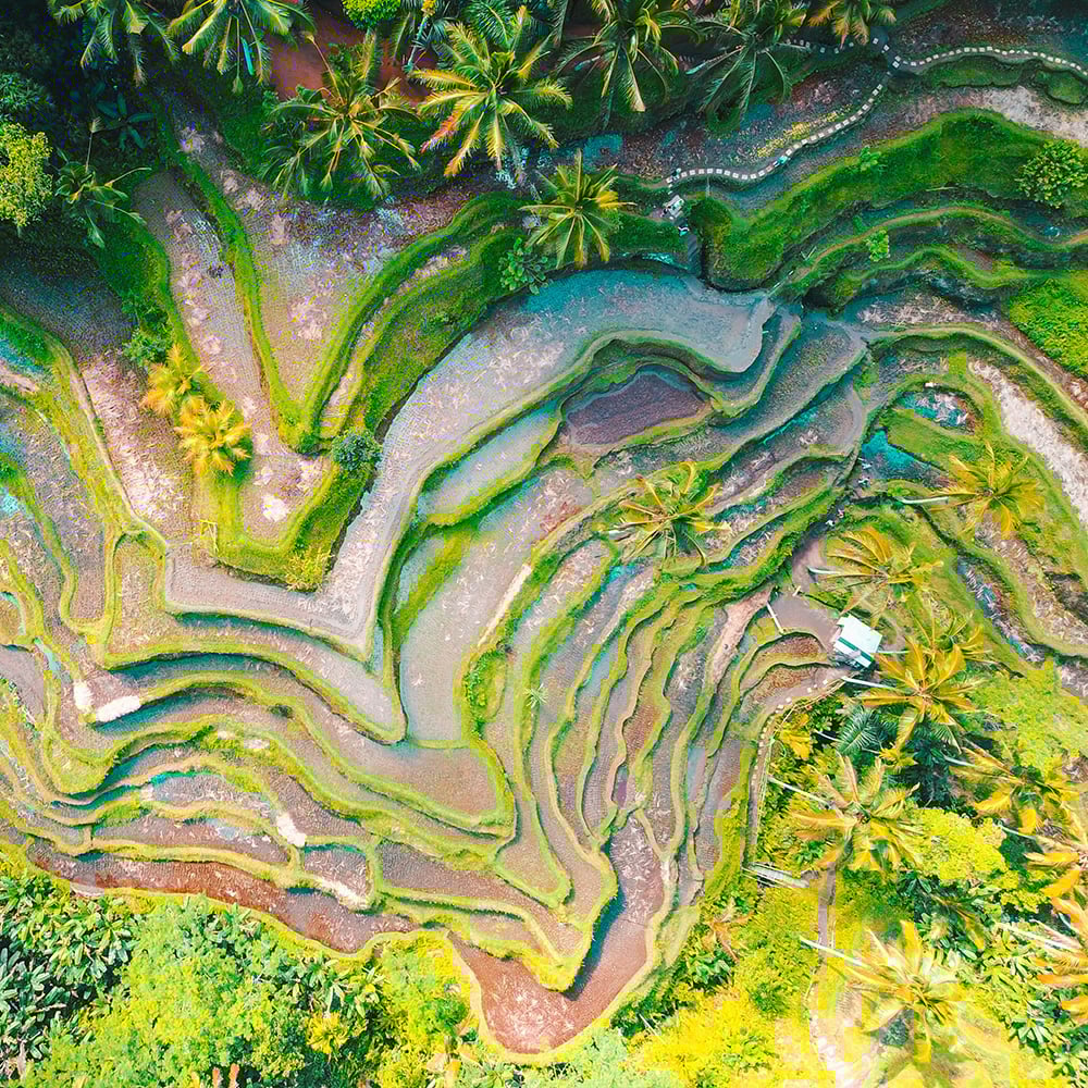 jason-cooper-XEhchWQuWyM-unsplash jason-cooper-XEhchWQuWyM-unsplash